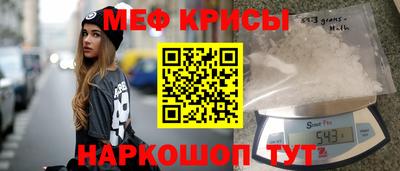 молекула духа Кингисепп