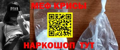молекула духа Кингисепп