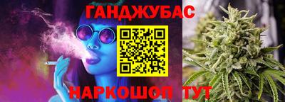 молекула духа Кингисепп