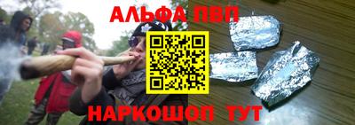 молекула духа Кингисепп
