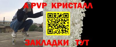 молекула духа Кингисепп