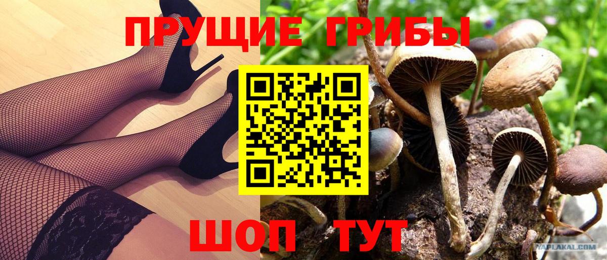 Галлюциногенные грибы мухоморы  Псилоцибиновые грибы мицелий  Вход с VPN  Коммунар 