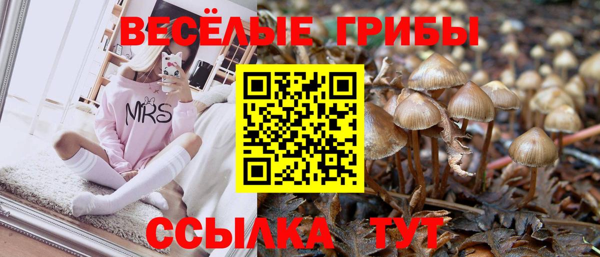 Псилоцибиновые грибы Cubensis Коммунар